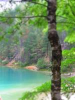 Отдых на Голубых Озерах в пос. Олешня (Черниговская область) фото