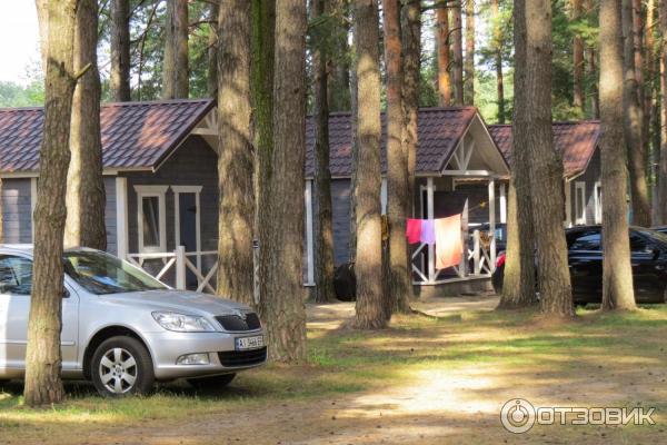 Отдых на Голубых Озерах в пос. Олешня (Украина, Черниговская область) фото