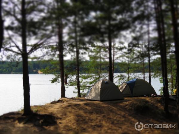 Отдых на Голубых Озерах в пос. Олешня (Украина, Черниговская область) фото