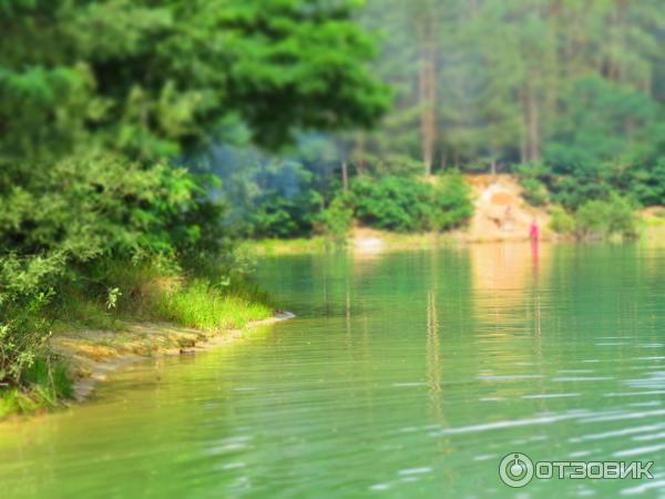 Отдых на Голубых Озерах в пос. Олешня (Украина, Черниговская область) фото