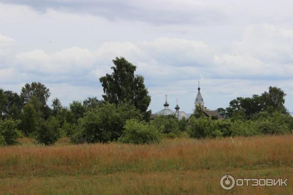 Псковское озеро (Россия, Псковская область) фото