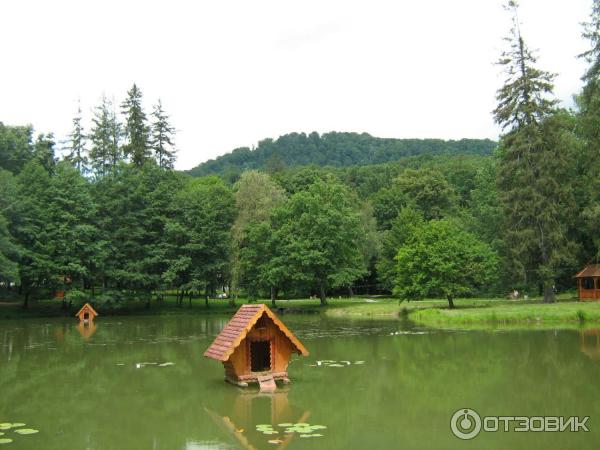 Замок графа Шенборна (Украина, Закарпатская обл.) фото