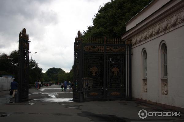 Центральный парк культуры и отдыха имени Горького (Россия, Москва) фото