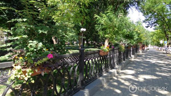 Братский сад астрахань братский сад фото Отзыв о Братский сад (Россия, Астрахань) Красивое место для прогулки, в день сва
