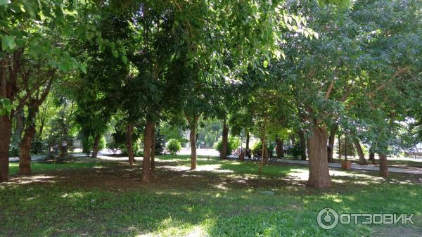 Братский сад астрахань братский сад фото Отзыв о Братский сад (Россия, Астрахань) Красивое место для прогулки, в день сва