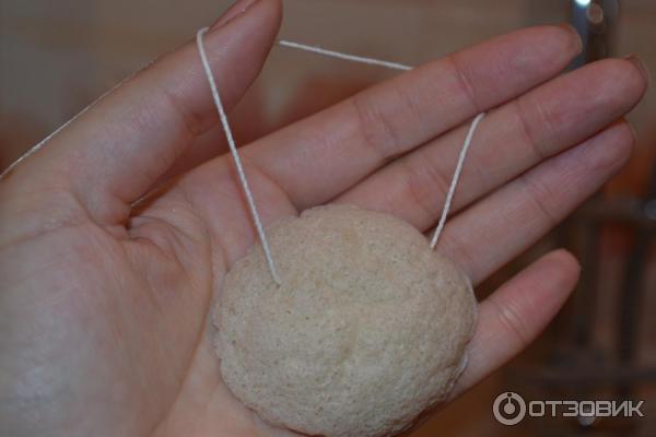 Спонж для умывания из конняку Hubei Yizhi Konjac Biotechnology Konjac Sponge фото