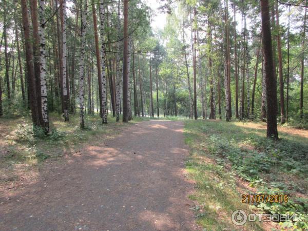 Парк культуры и отдыха имени В. В. Маяковского (Россия, Екатеринбург) фото