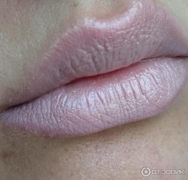 Палетка для губ L'Oreal Colour Riche Lip Palette фото