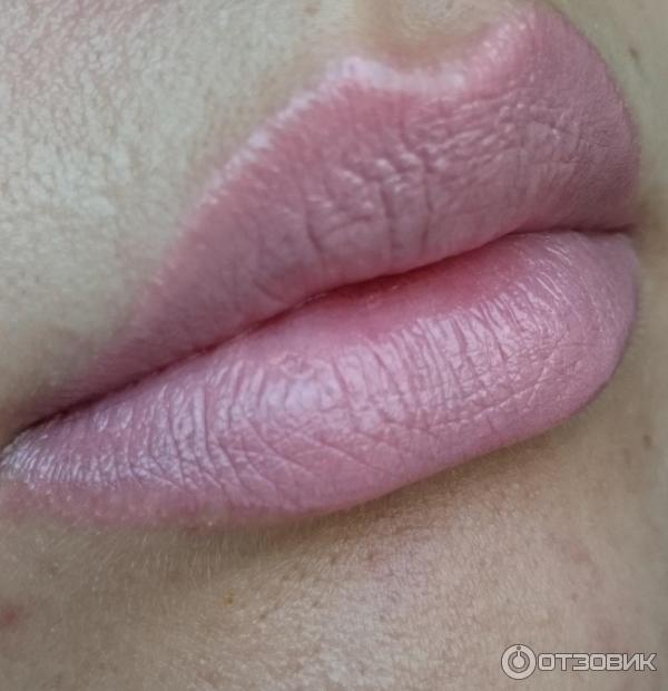 Палетка для губ L'Oreal Colour Riche Lip Palette фото