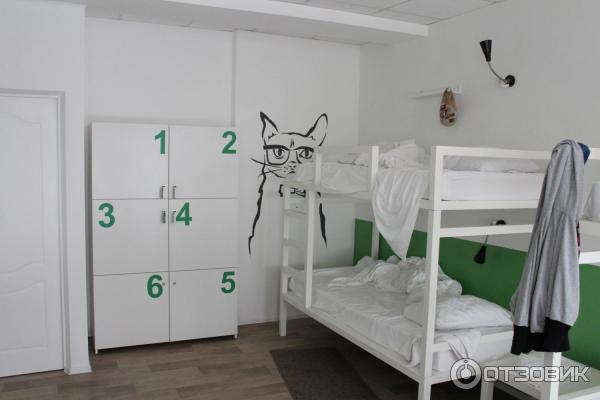 Хостел MAXI house hostel фото