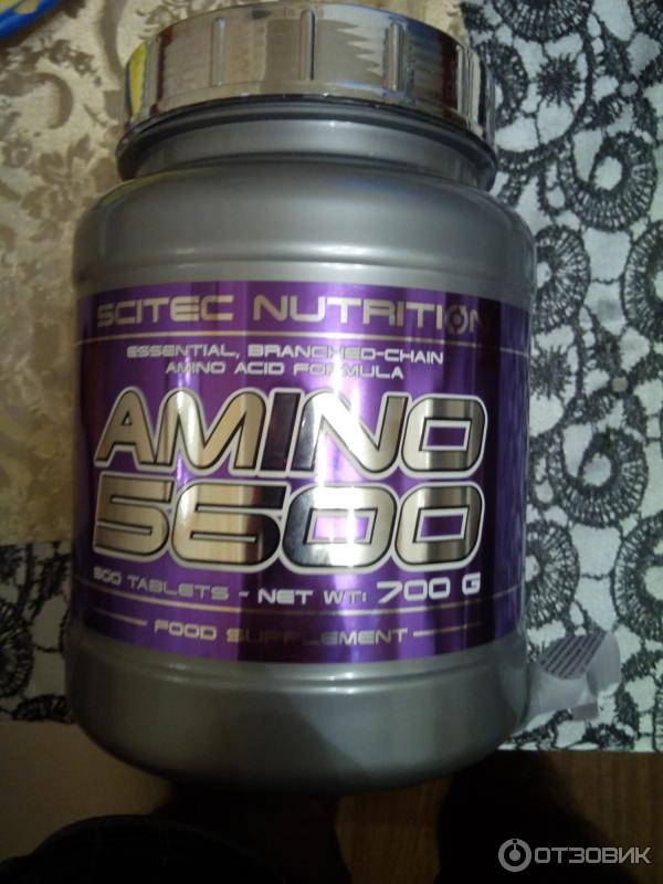 Amino 5600 Scitec nutrition