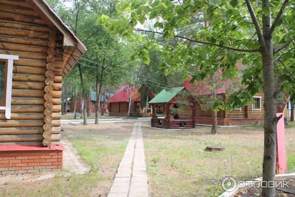 Клуб рыболов сосенки. Турбаза малая Царевщина Самара. Самарская область турбаза Сосенки. База отдыха Сосенки Самара Царевщина. База отдыха Сосенки малая Царевщина.