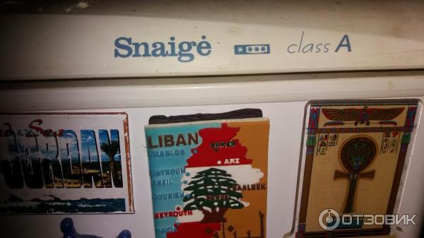 Холодильник Snaige FR240 фото