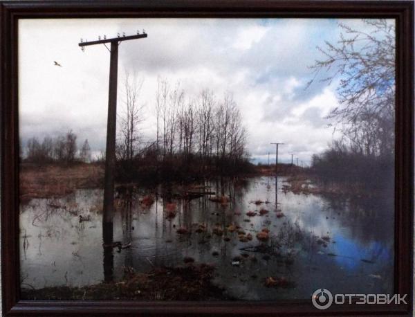 Выставка художественной фотографии Нам 10 лет (Россия. Новочеркасск)