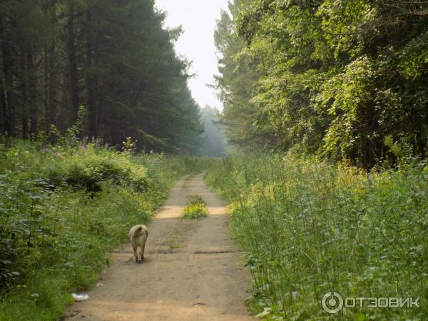 Парк мира вологда фото Отзыв о Парк Мира (Россия, Вологда) приятных прогулок!