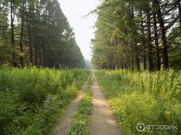 Парк мира вологда фото Отзыв о Парк Мира (Россия, Вологда) приятных прогулок!