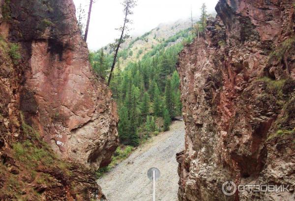 Экскурсия в Улаганский район (Россия, Горный Алтай) фото