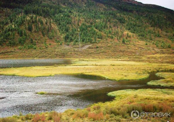 Экскурсия в Улаганский район (Россия, Горный Алтай) фото