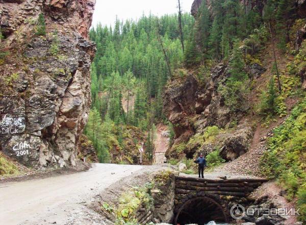 Экскурсия в Улаганский район (Россия, Горный Алтай) фото