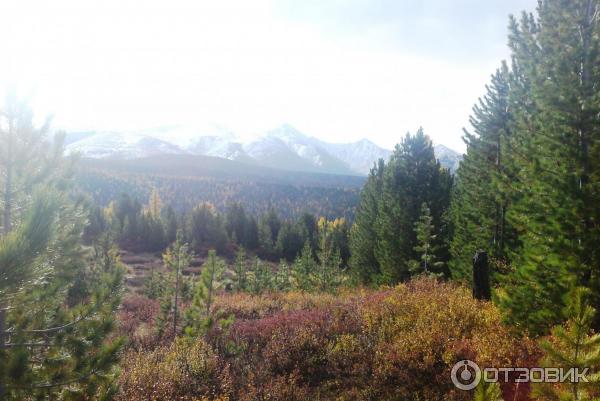 Экскурсия в Улаганский район (Россия, Горный Алтай) фото