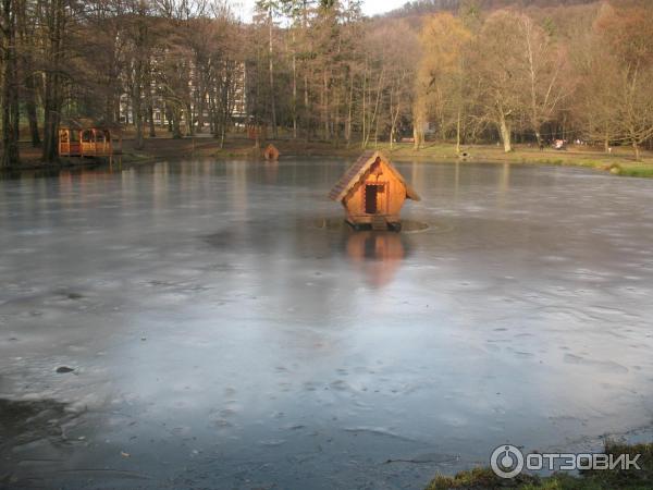 Замок графа Шенборна (Украина, Закарпатская обл.) фото