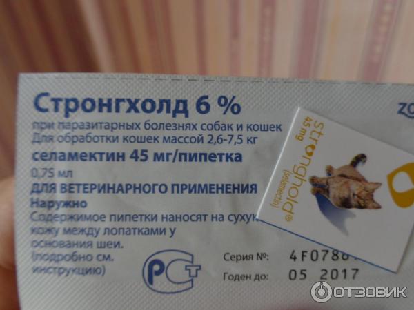 Стронгхолд для кошек инструкция