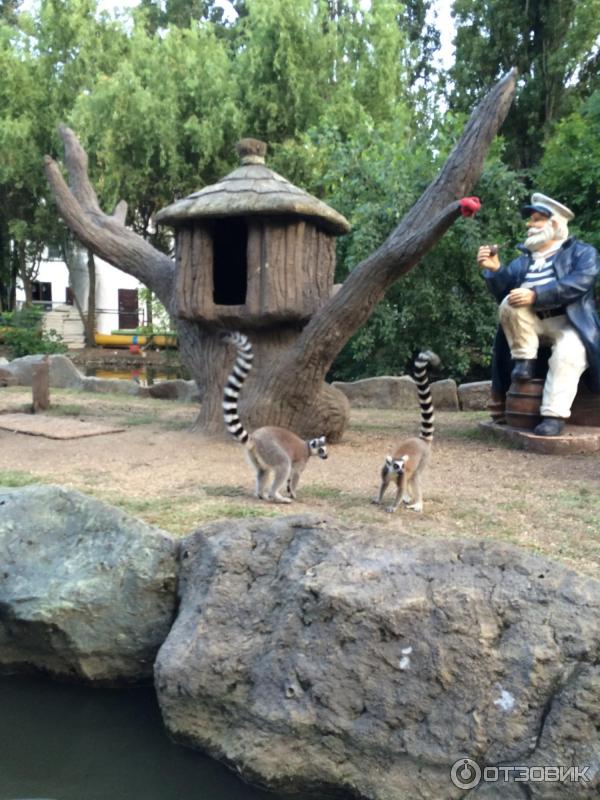 Сафари Парк Краснодар Цена