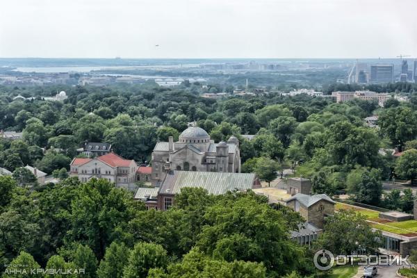 Кафедральный собор (США, Вашингтон) фото