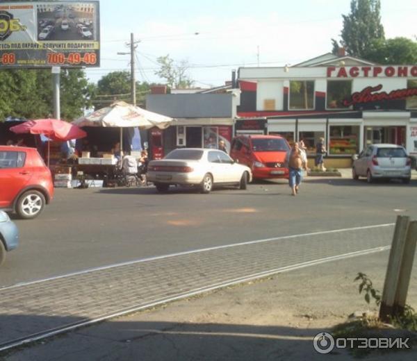 Отдых в пос. Черноморка (Украина, Одесская Область) фото