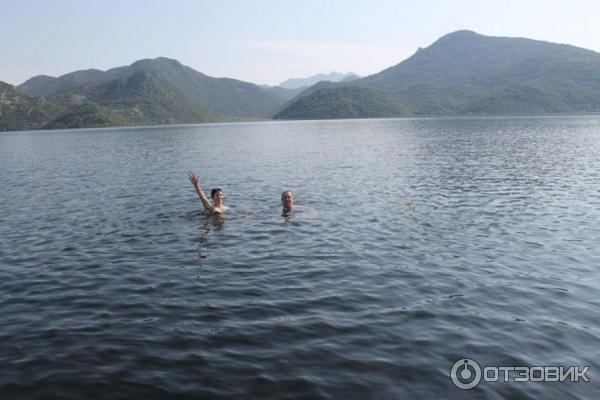 Скадарское озеро (Черногория) фото