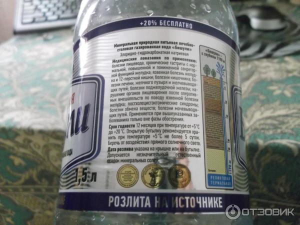 Вода минеральная питьевая лечебно-столовая газированная Бишули фото