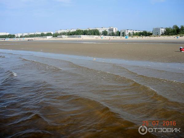 Город Северодвинск, остров Ягры, берег Белого моря.