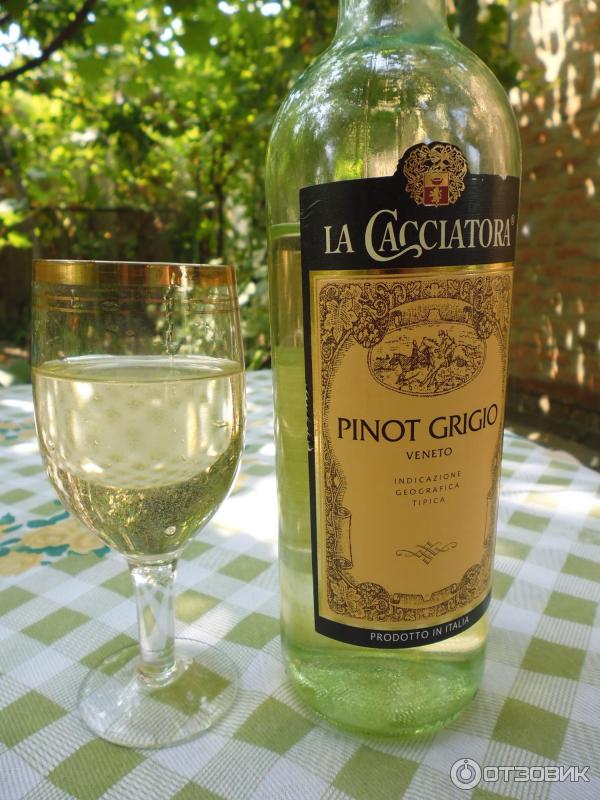 Вино белое сухое Pinot Grigio La Cacciatora фото