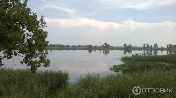 Солярий базы отдыха Водник (Россия, Саратовская область) фото