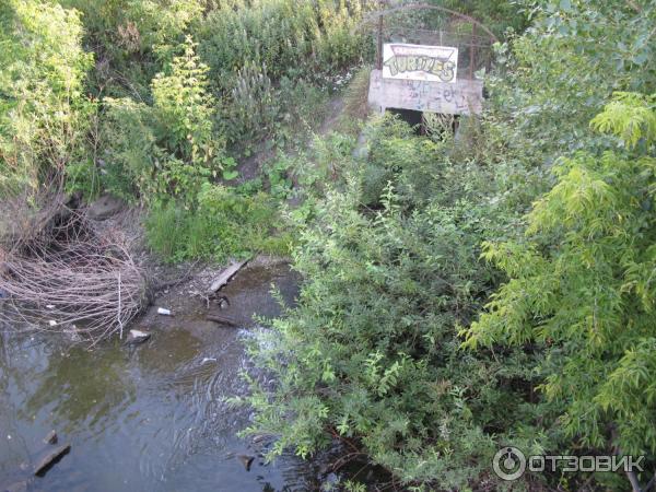 Экскурсия по г. Екатеринбург (Россия, Свердловская область) фото