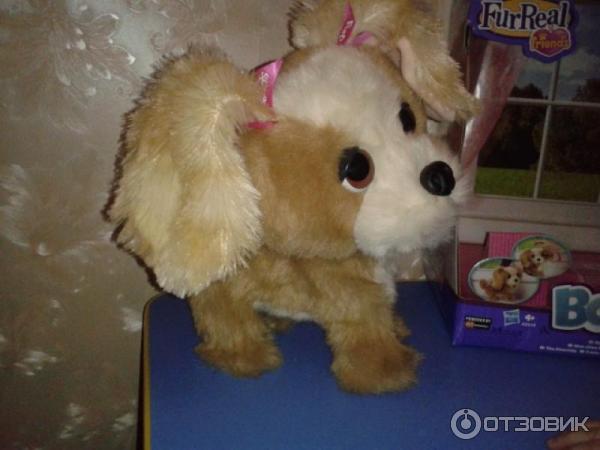 Интерактивный щенок FurReal Bouncy фото