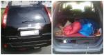 Автомобиль Nissan X-Trail T31 внедорожник фото