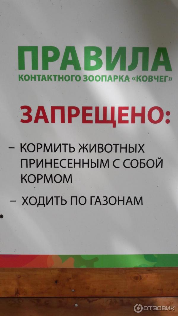 контактный зоопарк