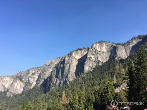 Экскурсия в национальный парк Yosemite (США, Калифорния) фото