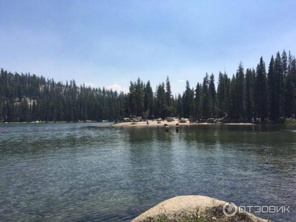 Экскурсия в национальный парк Yosemite (США, Калифорния) фото