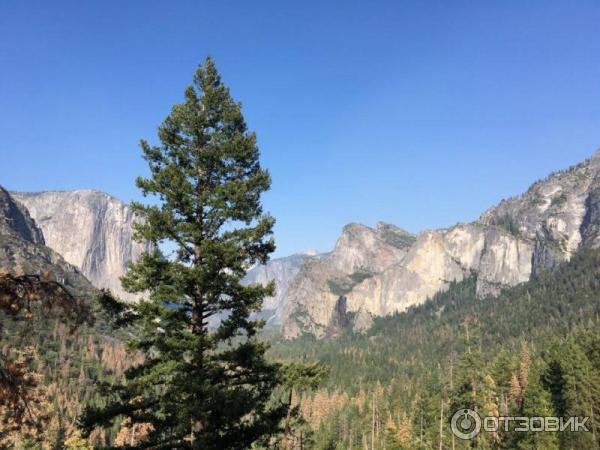 Экскурсия в национальный парк Yosemite (США, Калифорния) фото