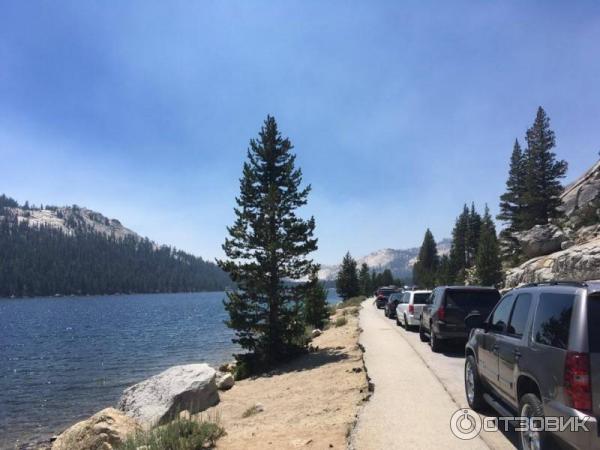 Экскурсия в национальный парк Yosemite (США, Калифорния) фото