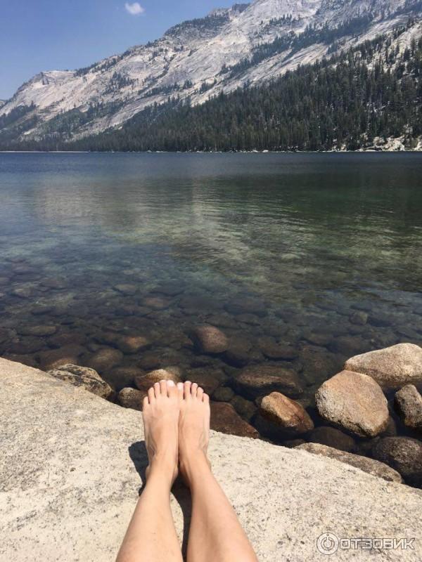 Экскурсия в национальный парк Yosemite (США, Калифорния) фото