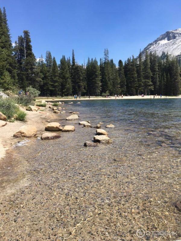 Экскурсия в национальный парк Yosemite (США, Калифорния) фото