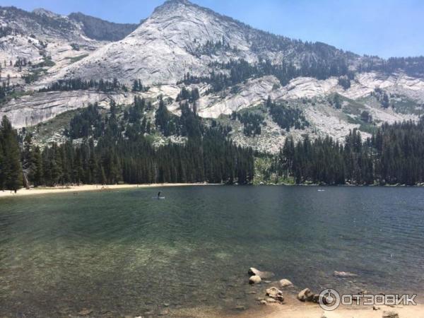 Экскурсия в национальный парк Yosemite (США, Калифорния) фото