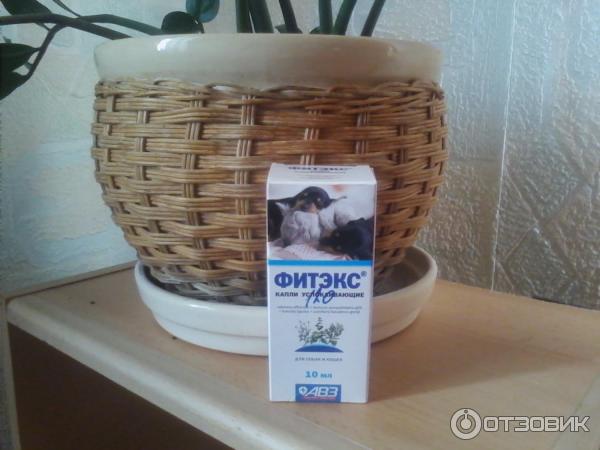 Отзыв о Капли успокаивающие АВЗ "Фитэкс" | Кот успокоился, а нас еще ...