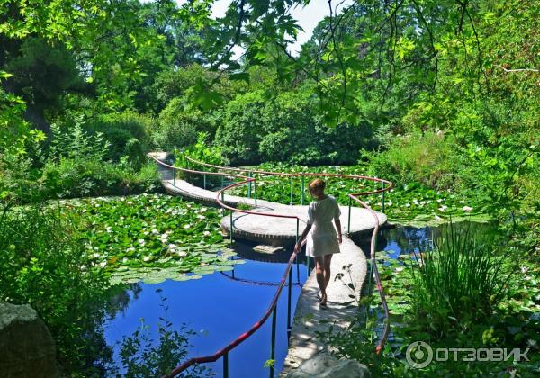 Отдых в поселке Форос (Россия, Форос) фото