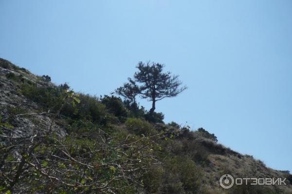 Поход на гору Алчак-Кая (Россия, Судак) фото