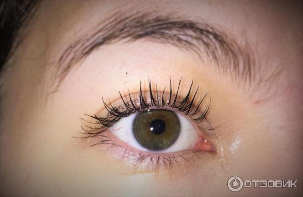 Тушь для ресниц L'Oreal Paris Volume Millions Lashes Feline фото