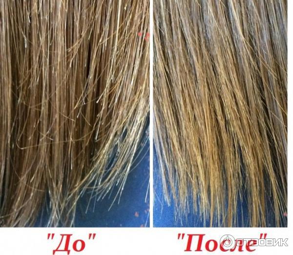 Как выглядят секущиеся волосы по всей длине